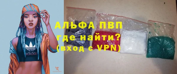 ешки Гусев