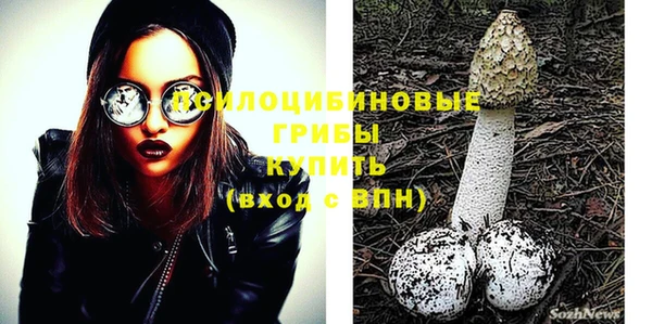 индика Горняк