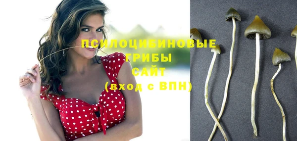 ешки Гусев