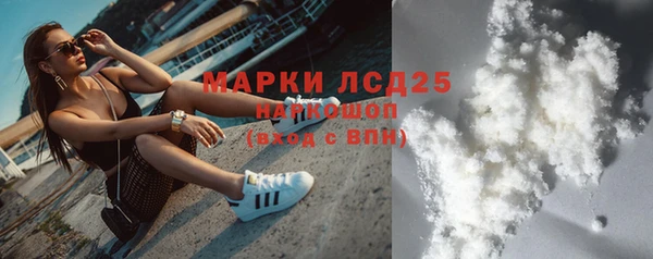 индика Горняк