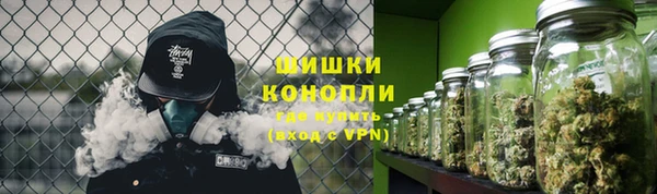 ешки Гусев