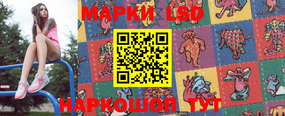 Губкин  купить наркотики цена  Марки NBOMe  Вход с VPN  Марки N-bome 1,5мг 