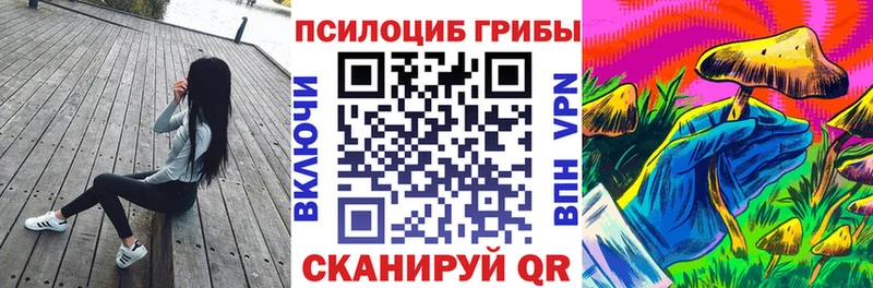 Псилоцибиновые грибы GOLDEN TEACHER  блэк спрут ТОР  Губкин  наркошоп 