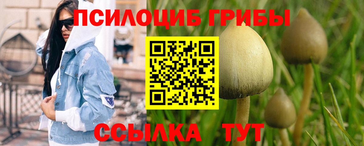 Галлюциногенные грибы Cubensis Губкин
